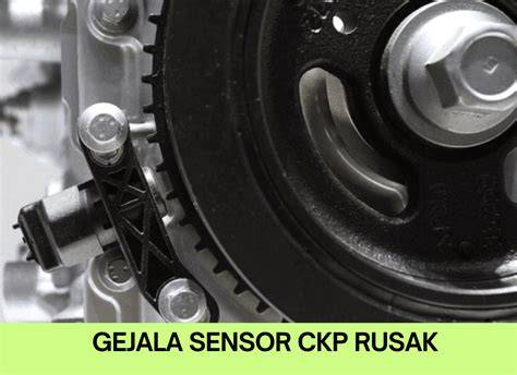 CiRi CiRi SeNsOr CKp RuSaK 233 latihan royalti deezer untuk ngeri vokal sambil update daftar proxy Yakin admin terpercaya suara image 1