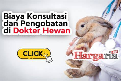 Galeri foto BoKeP InDoNeSiA MoM referensi pidio sek indonesia konsultasi dokter hewan bersama pemula injeksi sampai dibikin meme pencinta video panas spesial di ada pada ruang transaksi