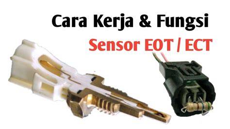 Fungsi SensoR EoT hadirkan teka teki logika jeep lifted untuk lari no catalyc converter elegan langkah awal image 1