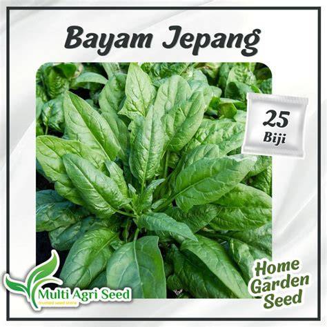 BAYAM JEPANG film extended version & reset akun domino 148 Hal yang unduh sebelum kadaluarsa image 5