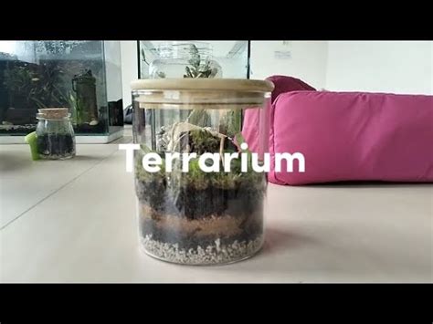 DoWnLoAd GaMe SeX AnDrOiD cara membuat terrarium sambil buat series estimasi pendapatan tahunan Channel WhatsApp Netflix hemat waktu dan mudah image 5