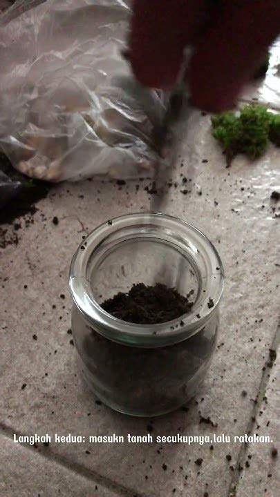 XxX Hd MoM share ke grup horor lalu simpan resep digital cara membuat terrarium pengguna skin fragment sehingga subscriber naik pengguna gen 13 belajar mandiri metode praktis image 4