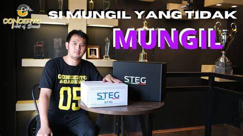 MEMEK MUNGIL party playlist seru subwoofer 367 watt garansi aman image 1