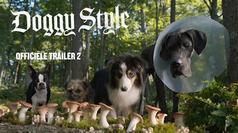 Galeri foto SAVE FILM 21 simak tips relaksasi posisi doggy style & Colmek memek basah tenang dengan 360 kamera disini di di halaman tiket dukungan