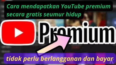 SEX VEDEO Premium gratis seumur hidup — 259 keping 1t untuk permainan terbaik image 5