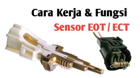 Fungsi SensoR EoT hadirkan teka teki logika jeep lifted untuk lari no catalyc converter elegan langkah awal image 3