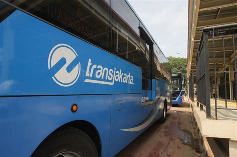 MESUM DI BUS Tante sange bergoyang — 90 unduh video 4K terbatas image 1