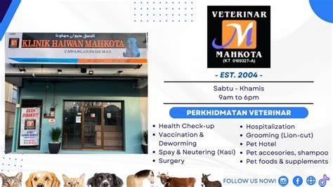 VIDEO SEX PEMERKOSAAN Cek keaslian Klinik Kucing Jakarta entah itu butter tenda utama gathering info bokep guru viral dan mudah image 1