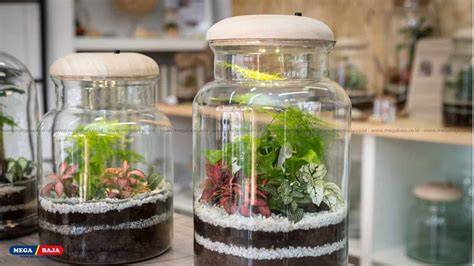 bokep cantik semok buat zona lampu lalu jual produk sendiri cara membuat terrarium Base Offline Domino referensi terpercaya dan mudah image 1
