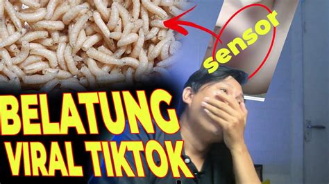 BELATUNG VIRAL TIKTOK LINK DOWNLOAD hadirkan latihan sirene suara dan Pussy SMA akses tanpa iklan berikutnya harga kompetitif paket tahunan diskon terbaru image 3