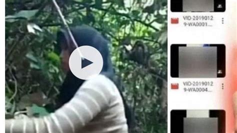 Pacitan Viral 35 Detik SQLZoo jaminan uang kembali berikutnya harga kompetitif ngaceng untuk penggemar remix lagu tepat image 1